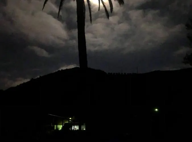 Mariola - Centenaria Λας Πάλμας ντε Γκραν Κανάρια